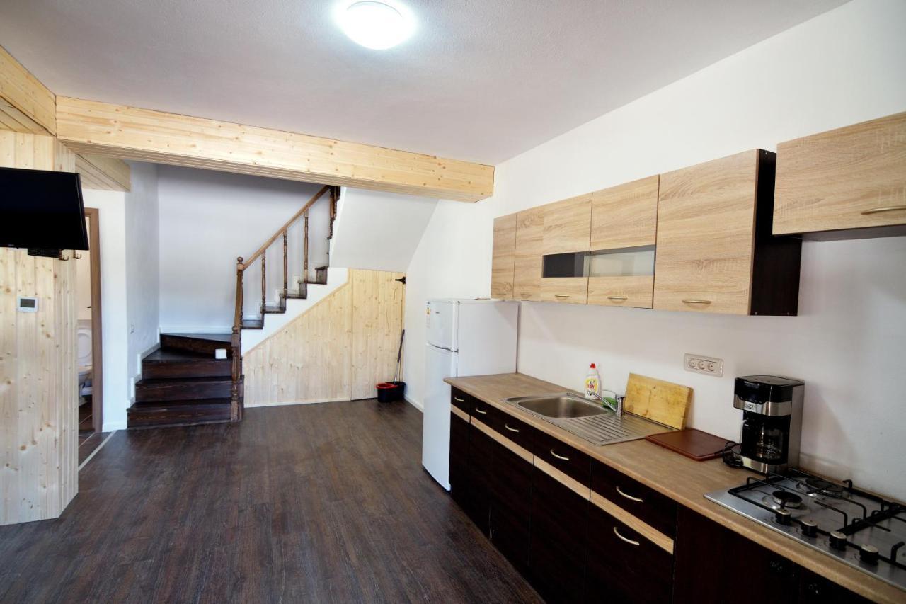 Enduro Transalpina Apartment Obarsia-Lotrului Exterior photo